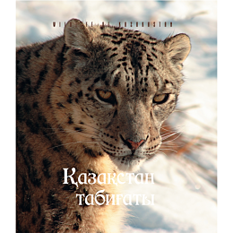fotoalbom_kazakhstan_tabihaty