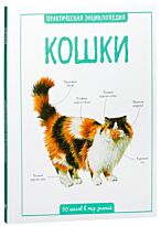 Бедуайер К.: Кошки