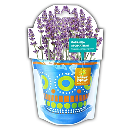 Happy Plant: Лаванда ароматная