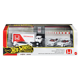 hot_wheels_basic_kollektsionny