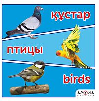Кұстар / Птицы / Birds