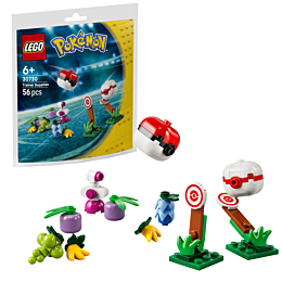 lego_prinadlezhnosti_dlya_tren