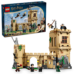 lego_uroki_poletov_harry_potte_1484382