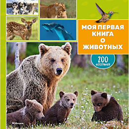lepeti_e_burse_k_moya_pervaya_