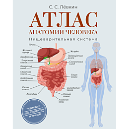 levkin_s_s_atlas_anatomii_chel