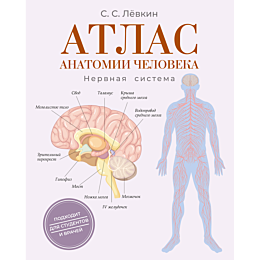 levkin_s_s_atlas_anatomii_chel