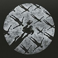 Muse Absolution Xx Anniversary (Ltd) 5LP