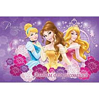 Альбом для рисования 40л., А4 Princess