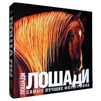 Карпенко Т.: Лошади. Самые лучшие фотографии
