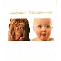 Силин Вики: Друзья бесценны