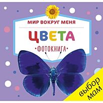 Мир вокруг меня. Цвета. Фотокнига