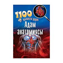 Адам анатомиясы / Анатомия человека