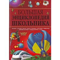 Большая энциклопедия школьника