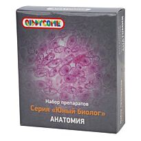 QIDDYCOME: Набор микропрепаратов. Анатомия
