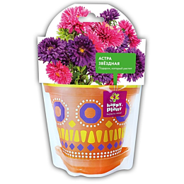 Наборы для выращивания Happy Plant "Астра звездная"