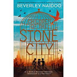 Naidoo B.: Children of the Stone City