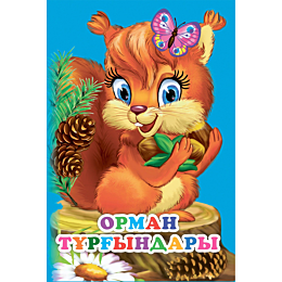 orman_turhyndary