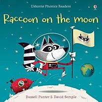Racoon on the moon