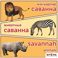 Жануарлар / Животные / Animals. Саванна