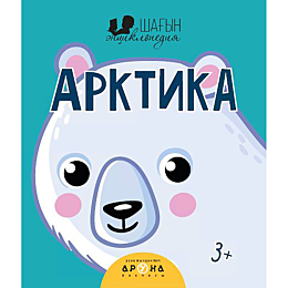 shahyn_entsiklopediya_arktika