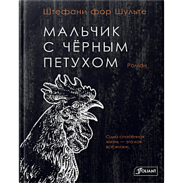 shtefani_for_shulte_malchik_s_
