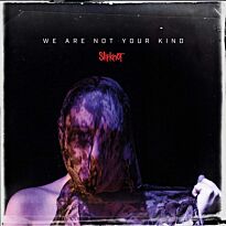 SLIPKNOT:WE ARE NOT YOUR KIND LP