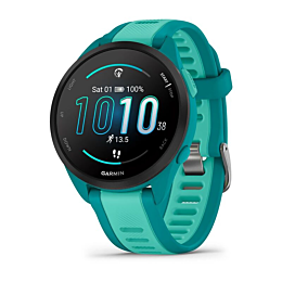 smartchasy_garmin_forerunner_1