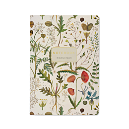 tetrad_a5_bruno_visconti_flora