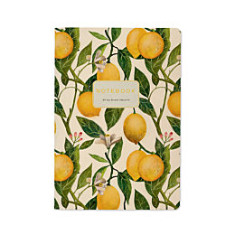 tetrad_a5_bruno_visconti_flora
