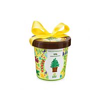Happy Plant: Ель необыкновенная