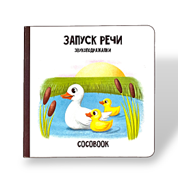 zapusk_rechi_zvukopodrazhalki