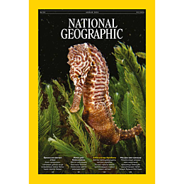 zhurnal_national_geographic_qa