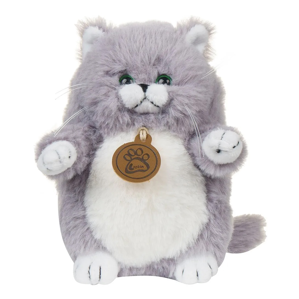 Ұзын ұзын кот