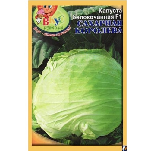 Капуста «сахарная голова». Капуста белокочанная сахарная. Капуста сорт засолочный f1. Капуста сахарная королева описание сорта. Капуста сахарная королева.