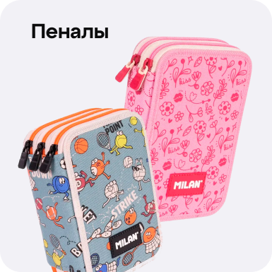 Каталог товаров для школы: Пеналы для школы