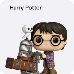 баннер Funko Harry Potter 
